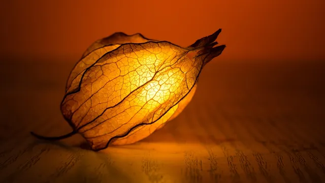 Licht (Foto: pixabay.com) Licht (Foto: pixabay.com)
