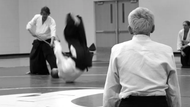 Wahlkurs Aikido (Foto: pixabay.com) Wahlkurs Aikido (Foto: pixabay.com)
