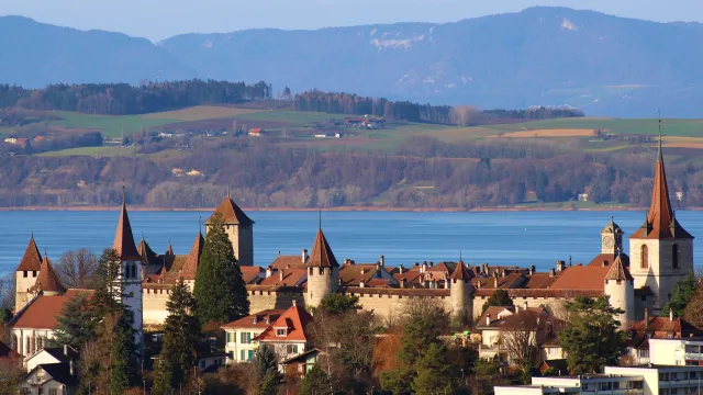 Wahlkurs Murten ausgeschlachtet (Foto: pixabay.com) Wahlkurs Murten ausgeschlachtet (Foto: pixabay.com)
